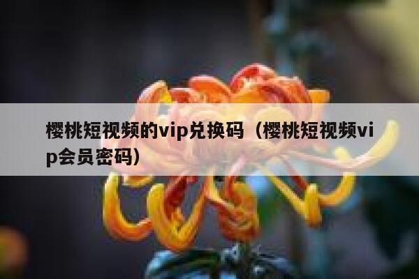 樱桃短视频的vip兑换码（樱桃短视频vip会员密码） 第1张