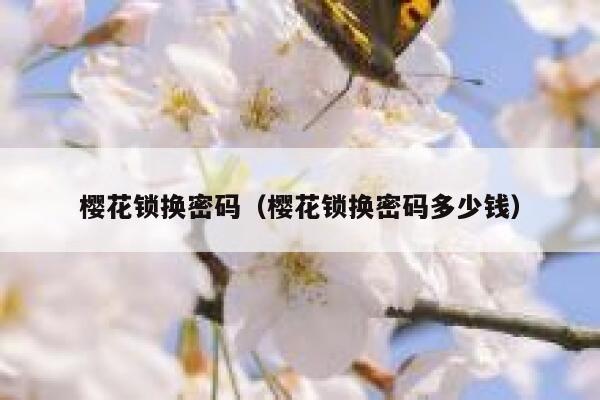 樱花锁换密码(樱花锁换密码多少钱) 第1张 樱花锁换密码(樱花锁换密码多少钱) 第1张