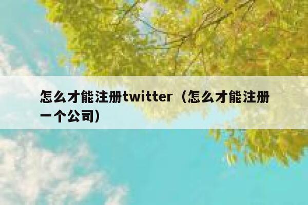 怎么才能注册twitter（怎么才能注册一个公司） 第1张