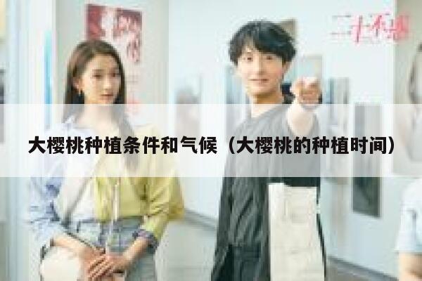 大樱桃种植条件和气候（大樱桃的种植时间） 第1张