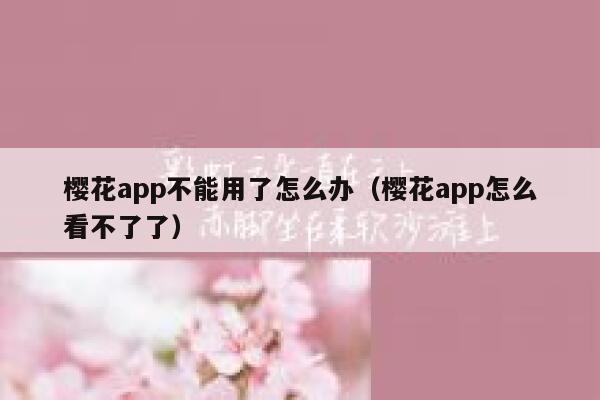 樱花app不能用了怎么办（樱花app怎么看不了了） 第1张