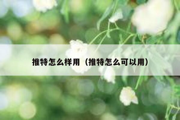 推特怎么样用（推特怎么可以用） 第1张