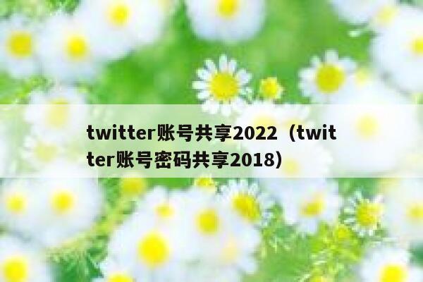 twitter账号共享2022（twitter账号密码共享2018） 第1张