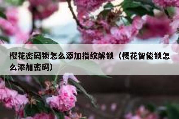 樱花密码锁怎么添加指纹解锁（樱花智能锁怎么添加密码） 第1张