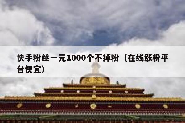 快手粉丝一元1000个不掉粉（在线涨粉平台便宜） 第1张