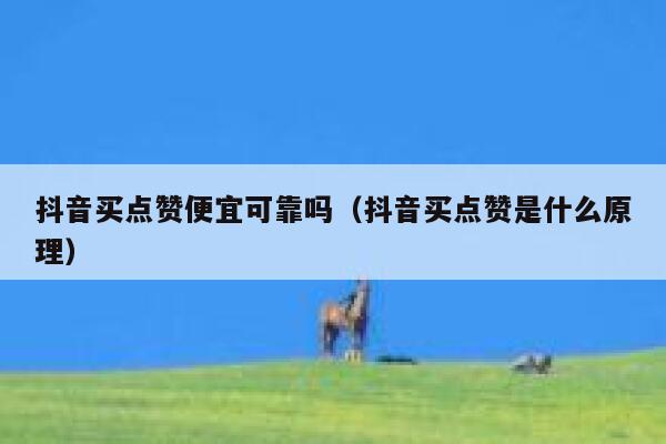 抖音买点赞便宜可靠吗（抖音买点赞是什么原理） 第1张