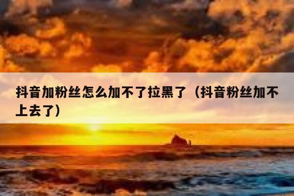 抖音加粉丝怎么加不了拉黑了（抖音粉丝加不上去了） 第1张