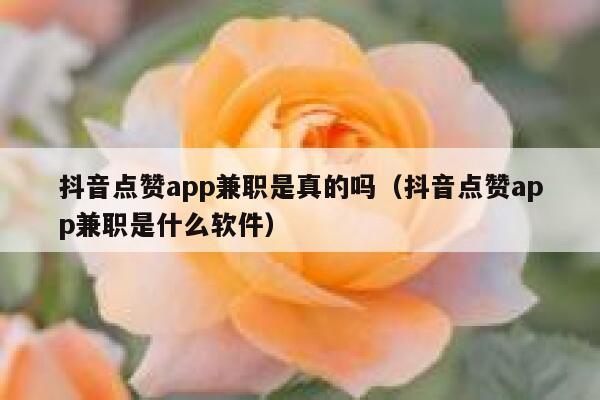 抖音点赞app兼职是真的吗（抖音点赞app兼职是什么软件） 第1张