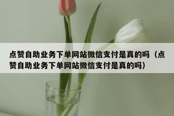 点赞自助业务下单网站微信支付是真的吗（点赞自助业务下单网站微信支付是真的吗） 第1张