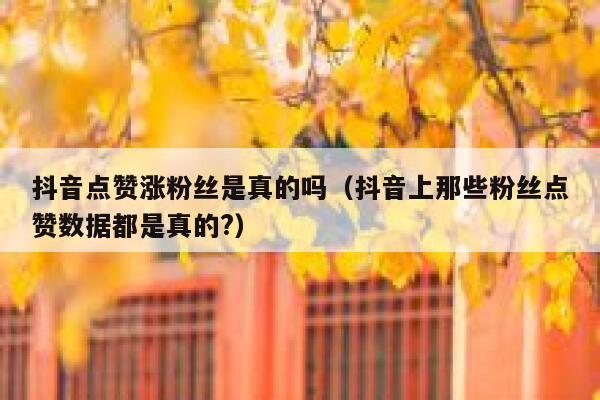 抖音点赞涨粉丝是真的吗（抖音上那些粉丝点赞数据都是真的?） 第1张