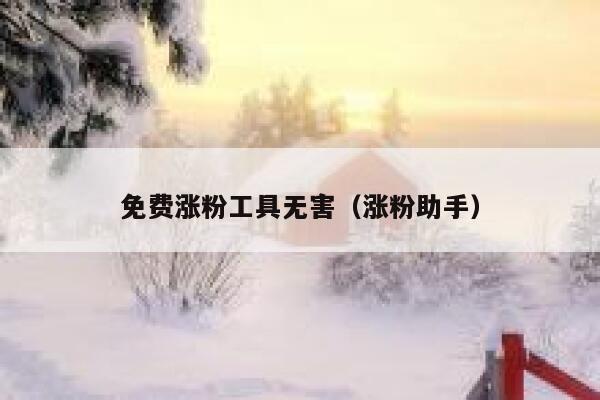 免费涨粉工具无害（涨粉助手） 第1张