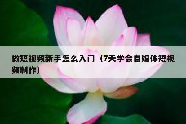 做短视频新手怎么入门（7天学会自媒体短视频制作） 第1张