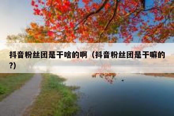 抖音粉丝团是干啥的啊（抖音粉丝团是干嘛的?） 第1张