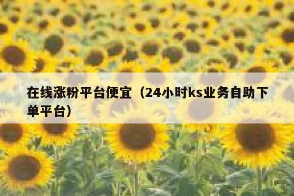 在线涨粉平台便宜（24小时ks业务自助下单平台） 第1张