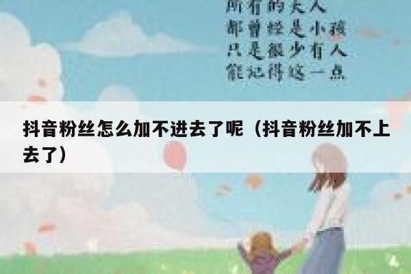 抖音粉丝怎么加不进去了呢（抖音粉丝加不上去了） 第1张