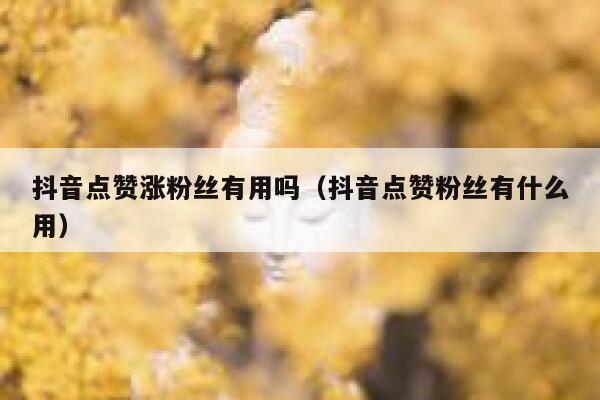 抖音点赞涨粉丝有用吗（抖音点赞粉丝有什么用） 第1张