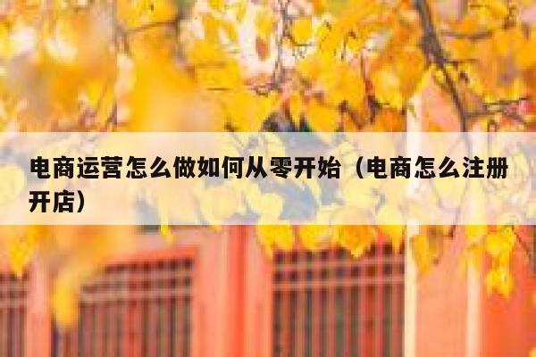 电商运营怎么做如何从零开始（电商怎么注册开店） 第1张