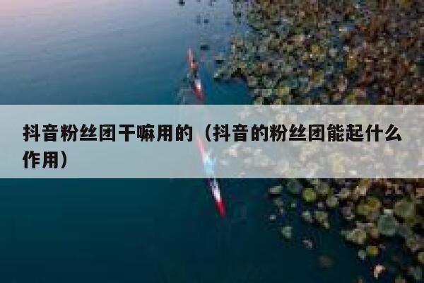 抖音粉丝团干嘛用的（抖音的粉丝团能起什么作用） 第1张