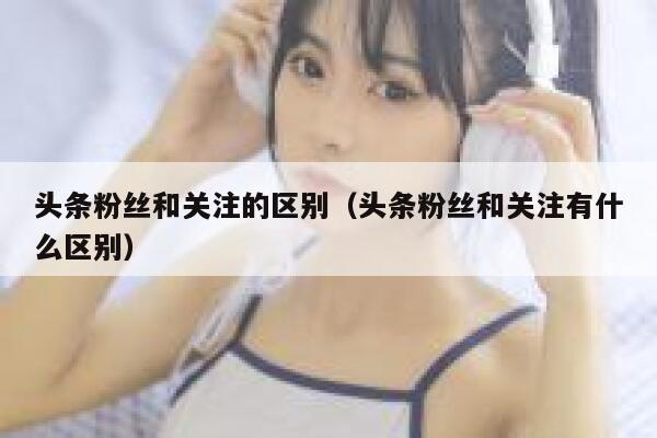 头条粉丝和关注的区别（头条粉丝和关注有什么区别） 第1张