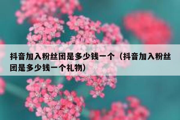 抖音加入粉丝团是多少钱一个（抖音加入粉丝团是多少钱一个礼物） 第1张