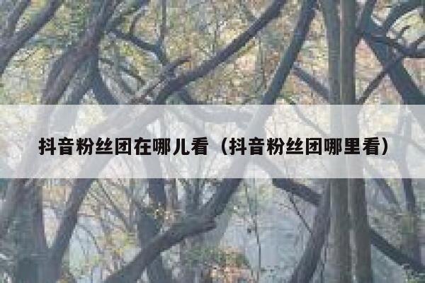 抖音粉丝团在哪儿看（抖音粉丝团哪里看） 第1张