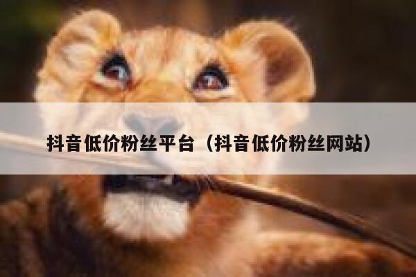 抖音低价粉丝平台（抖音低价粉丝网站） 第1张