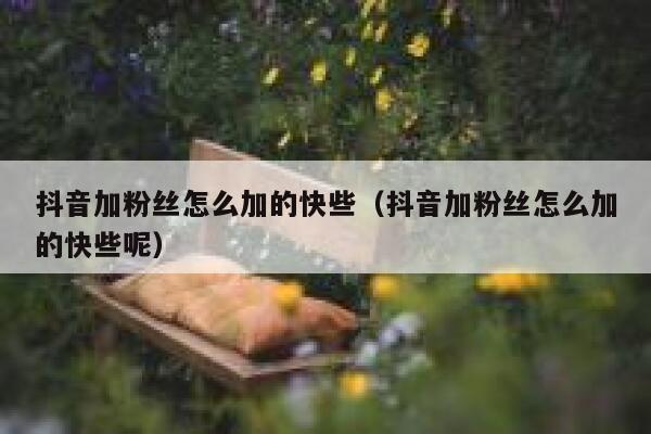 抖音加粉丝怎么加的快些（抖音加粉丝怎么加的快些呢） 第1张