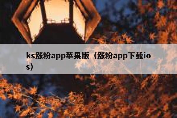 ks涨粉app苹果版（涨粉app下载ios） 第1张