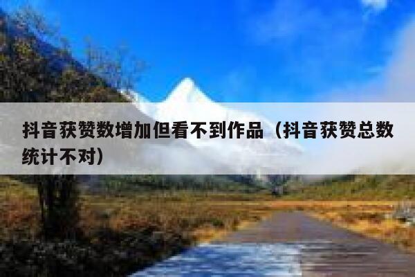 抖音获赞数增加但看不到作品（抖音获赞总数统计不对） 第1张