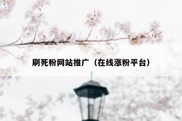 刷死粉网站推广（在线涨粉平台） 第1张