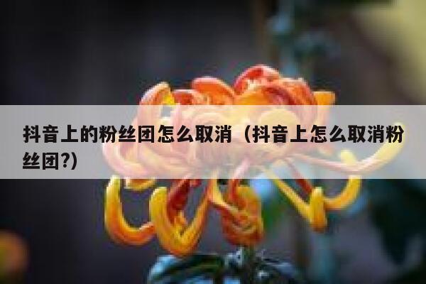 抖音上的粉丝团怎么取消（抖音上怎么取消粉丝团?） 第1张