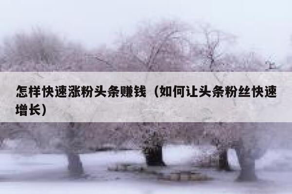 怎样快速涨粉头条赚钱（如何让头条粉丝快速增长） 第1张