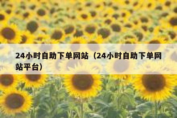 24小时自助下单网站（24小时自助下单网站平台） 第1张