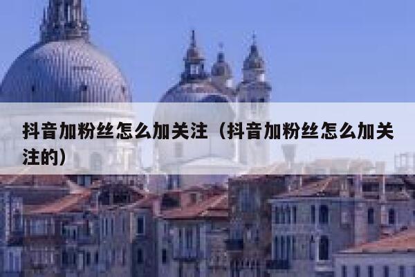 抖音加粉丝怎么加关注（抖音加粉丝怎么加关注的） 第1张