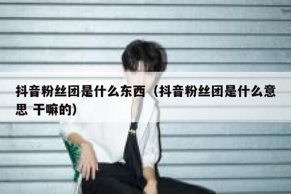 抖音粉丝团是什么东西（抖音粉丝团是什么意思 干嘛的） 第1张