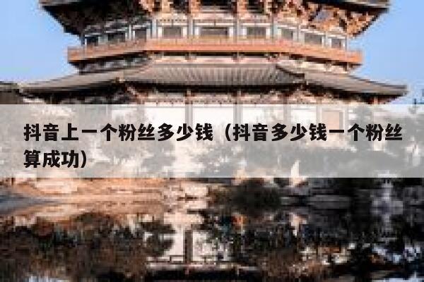 抖音上一个粉丝多少钱（抖音多少钱一个粉丝算成功） 第1张
