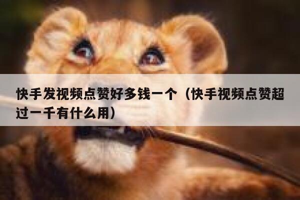 快手发视频点赞好多钱一个（快手视频点赞超过一千有什么用） 第1张