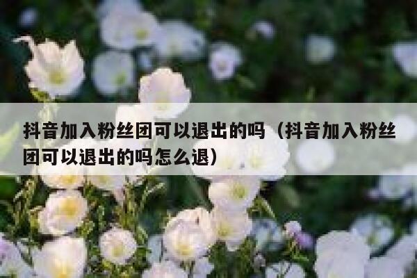 抖音加入粉丝团可以退出的吗（抖音加入粉丝团可以退出的吗怎么退） 第1张