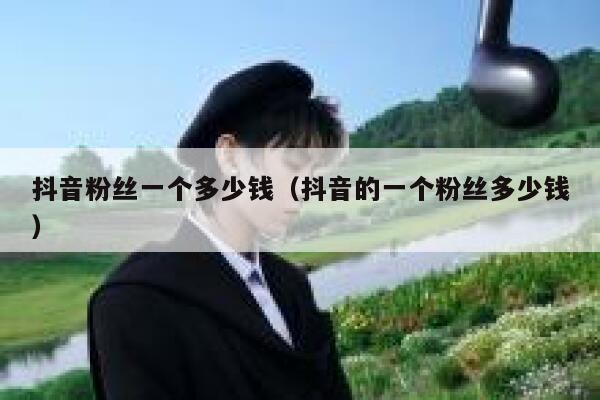 抖音粉丝一个多少钱（抖音的一个粉丝多少钱） 第1张