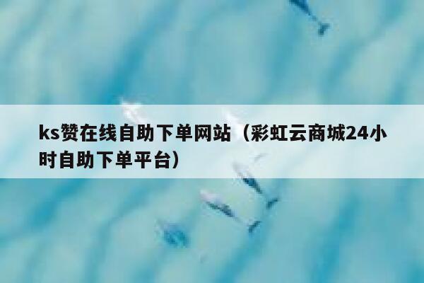ks赞在线自助下单网站（彩虹云商城24小时自助下单平台） 第1张