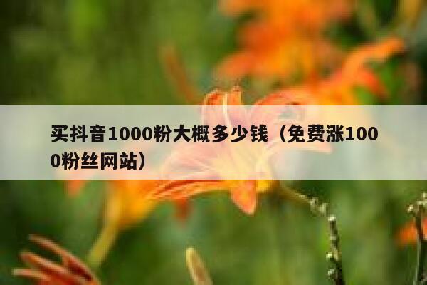 买抖音1000粉大概多少钱（免费涨1000粉丝网站） 第1张