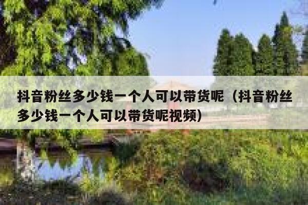 抖音粉丝多少钱一个人可以带货呢（抖音粉丝多少钱一个人可以带货呢视频） 第1张