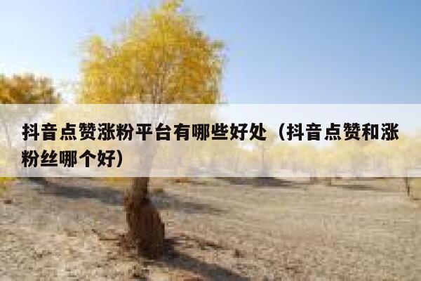 抖音点赞涨粉平台有哪些好处(抖音点赞和涨粉丝哪个好) 第1张 抖音点赞涨粉平台有哪些好处(抖音点赞和涨粉丝哪个好) 第1张