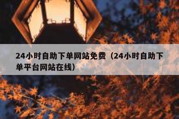 24小时自助下单网站免费（24小时自助下单平台网站在线） 第1张