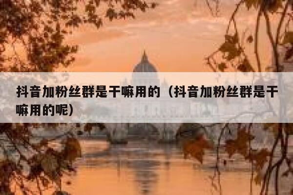 抖音加粉丝群是干嘛用的（抖音加粉丝群是干嘛用的呢） 第1张