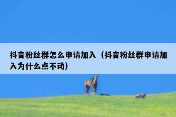 抖音粉丝群怎么申请加入（抖音粉丝群申请加入为什么点不动） 第1张