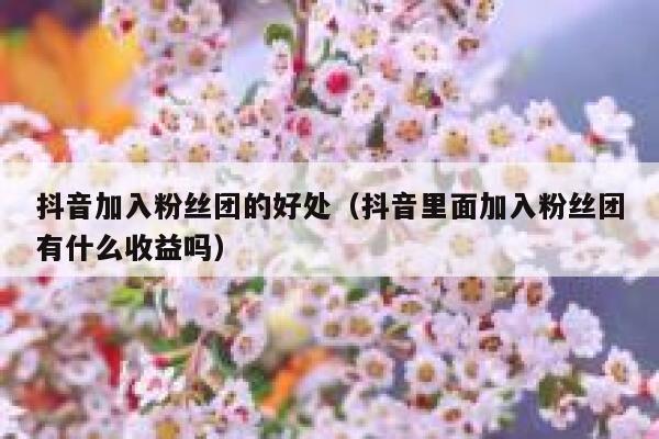 抖音加入粉丝团的好处（抖音里面加入粉丝团有什么收益吗） 第1张