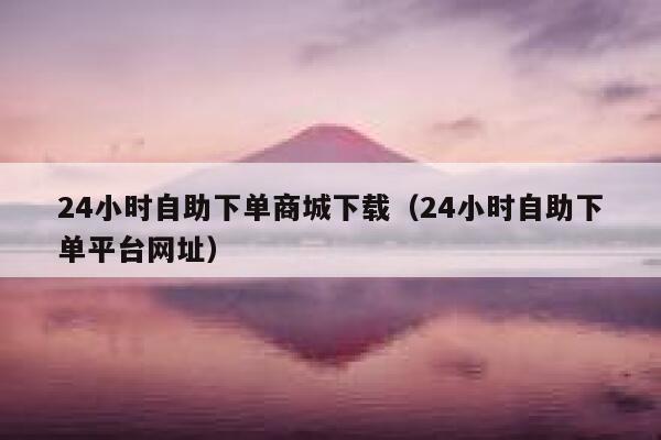 24小时自助下单商城下载（24小时自助下单平台网址） 第1张