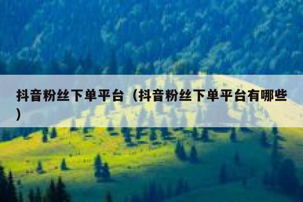 抖音粉丝下单平台（抖音粉丝下单平台有哪些） 第1张