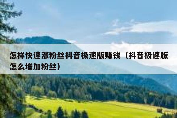 怎样快速涨粉丝抖音极速版赚钱（抖音极速版怎么增加粉丝） 第1张